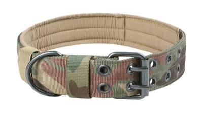 collier chien  sécuritaire