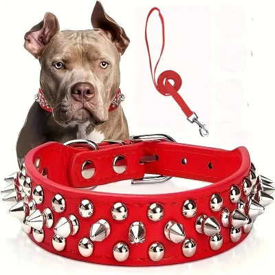 avec le collier chien Une Tranquillité d'Esprit à 100% Garantie