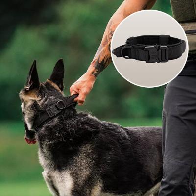 Collier chien noire Ajustement Parfait en Un Clic
