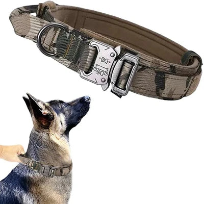 Confort Optimal pour Votre Chien