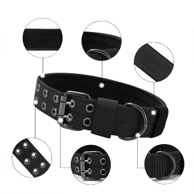 collier chien noire