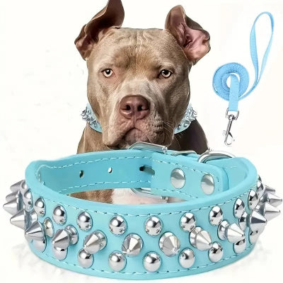 collier chien confort et sécuritaire 