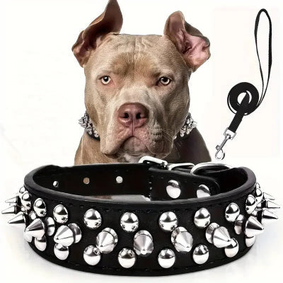 Un Collier Chien Alliant Style et Durabilité