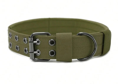 collier chien vert