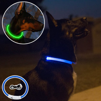 collier lumineux chien  protection globale 