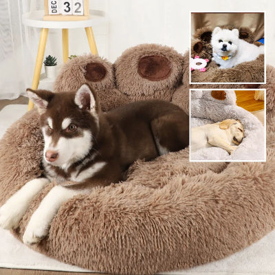  le Confort Absolu de Votre Chien