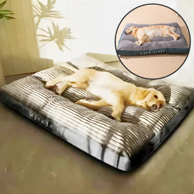 coussin chien son stress