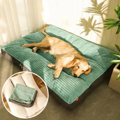 coussin chien une bonne relaxation 