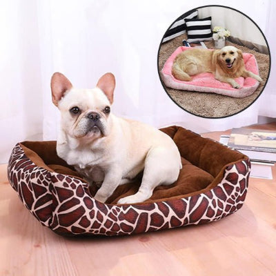 Un Ensemble Complet pour le Bonheur de Votre Chien