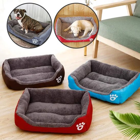 Coussin chien - Planet de chiens