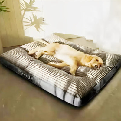coussin chien beau design 