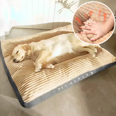 coussin chien bon sommeil 