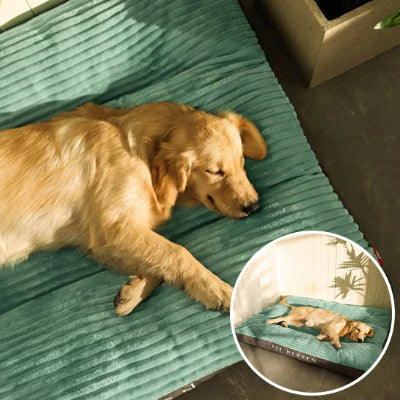 coussin chien vert