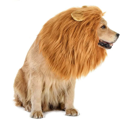 déguisement chien confort 