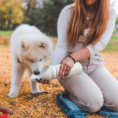 gourde pour chien sécurité et polyvalente 