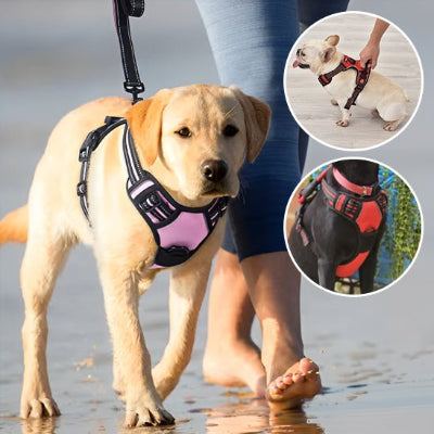 Harnais Chien: Le Compagnon Idéal pour des Promenades Sûres et Confortables