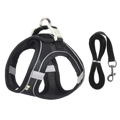 notre harnais chien pour petites races combine confort