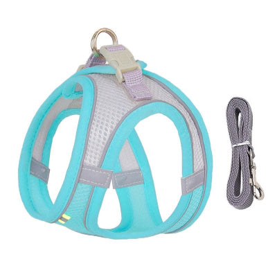 Un Harnais Chien Polyvalent pour Toutes les Situations