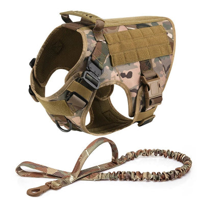 Harnais chien camouflage 