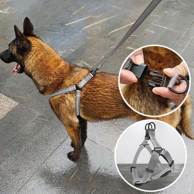 Harnais Chien: Le Compagnon Idéal pour des Promenades Sûres et Confortables