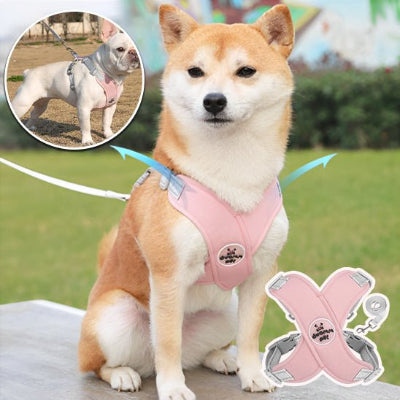 Harnais Chien : La Solution Anti -Traction Révolutionnaire pour Promenades Sereines