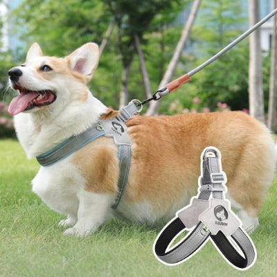 Le Harnais Chien Ultime pour le Confort et la Sécurité