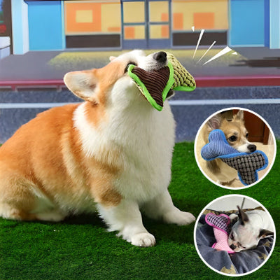 jouet pour chien  confort 