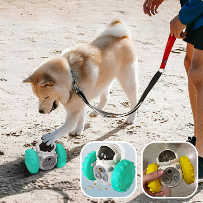 jouet pour chien interactif 