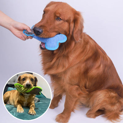 jouet pour chien  os anti stress