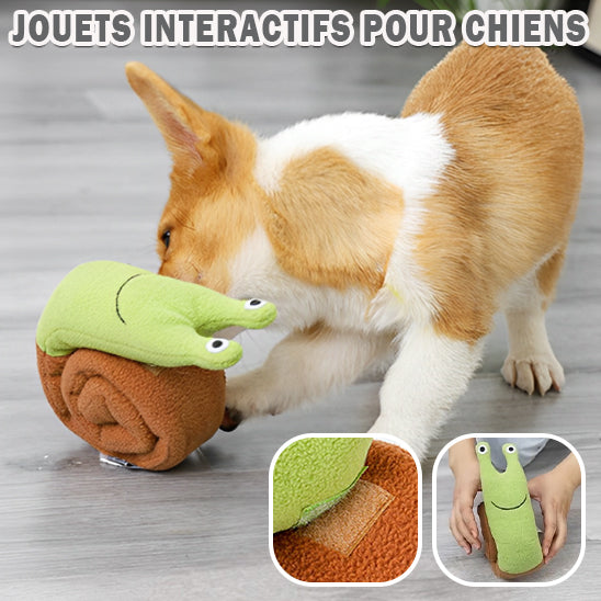 Jouet pour chien