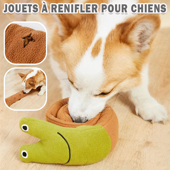 Jouet pour chien