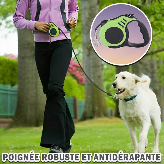 Laisse pour chien - Planet de chiens