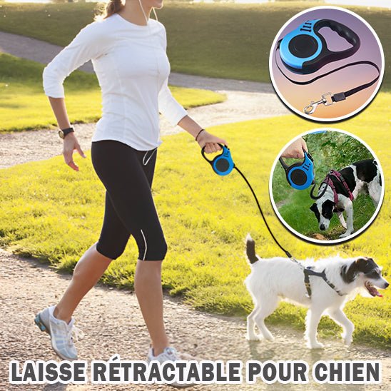 Laisse pour chien - Planet de chiens