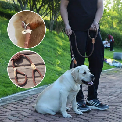 laisse pour chien Révolutionnez vos Promenades
