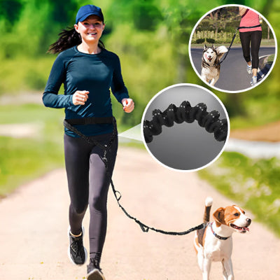 La Laisse pour Chien : Confort et Sécurité pour Vos Promenades