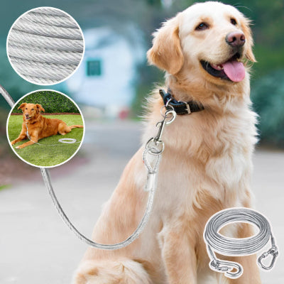 Laisse pour Chien Double: La Solution Ultime pour les Promenades à Deux
