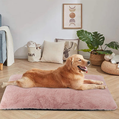 lit pour chien  confortable 