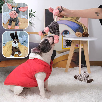 La Peluche pour Chien Parfaite : Douceur, Durabilité et Plaisir Garanti