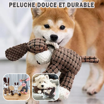 peluche pour chien durable