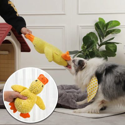 peluche pour chien soins des dent 