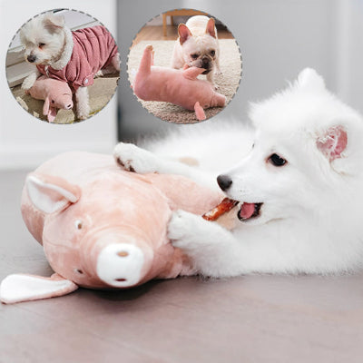 peluche pour chien  enlève le stresse 