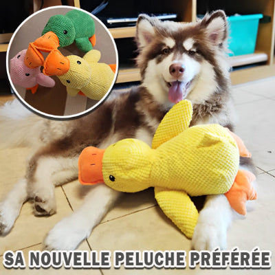 peluche pour chien 