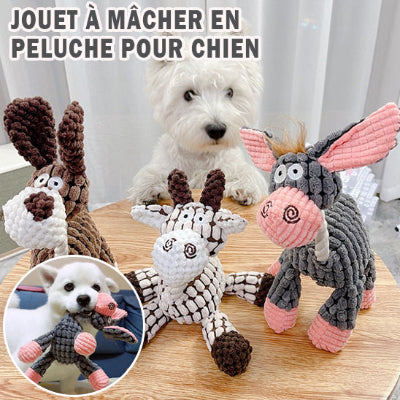 peluche pour chien pour macher 