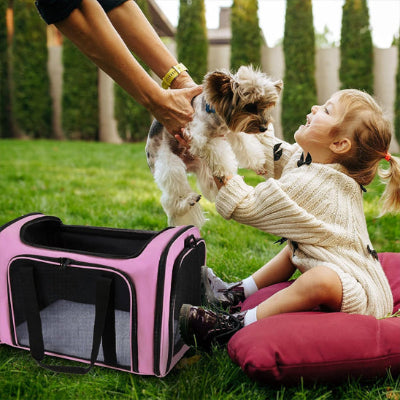 sac-de-transport-pour-chien_2