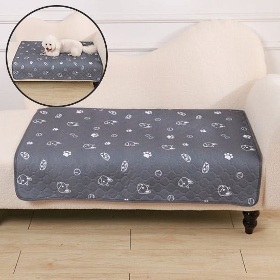 Tapis pour chien - Planet de chiens