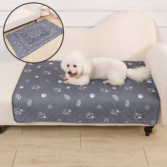 Tapis pour chien - Planet de chiens