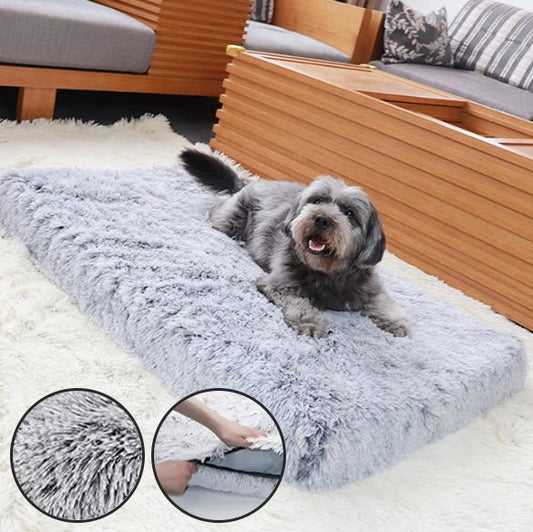 Tapis pour chien - Planet de chiens