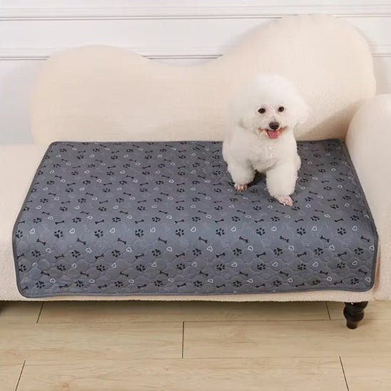 Tapis pour chien - Planet de chiens