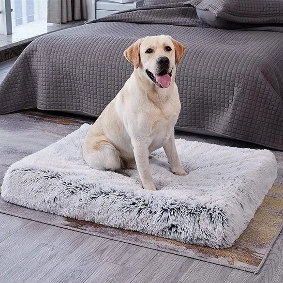 Tapis pour chien - Planet de chiens