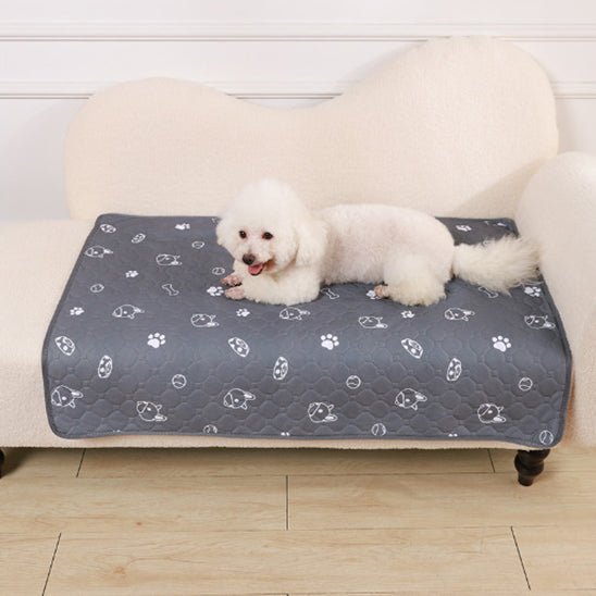 Tapis pour chien - Planet de chiens